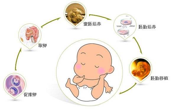 南充试管代怀孕公司业务流程和法律规定